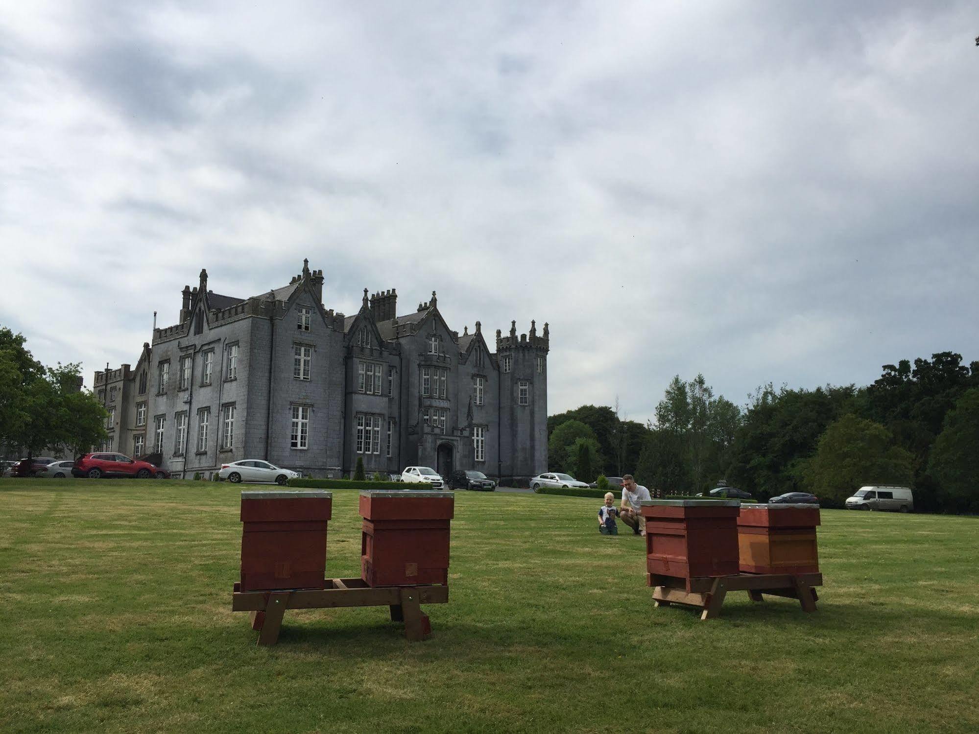 Kinnitty Castle Hotel Zewnętrze zdjęcie